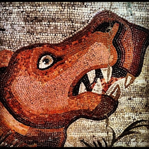 Photo:  Particolare di mosaico di Pompei